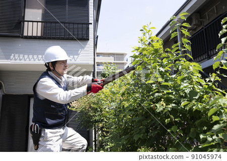 Landscaping workers pruning garden trees on a stepladder 91045974