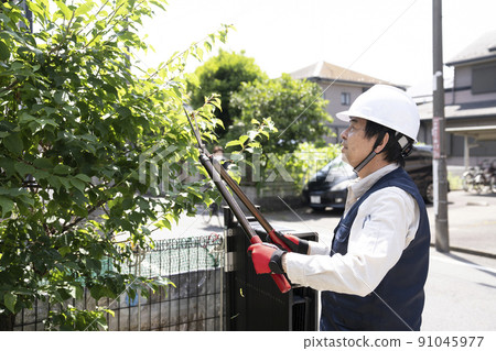Landscape worker cutting the garden tree Landscape worker cutting the garden tree 91045977