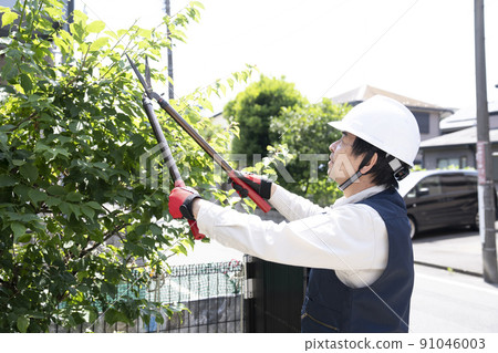 園林工人切割花園的樹 園林工人切割花園的樹 91046003