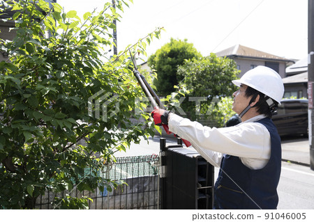 園林工人切割花園的樹 園林工人切割花園的樹 91046005