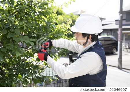園林工人切割花園的樹 91046007