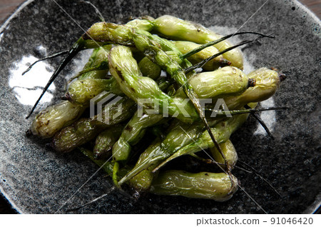 Fried purple radish fruit, pod radish 91046420
