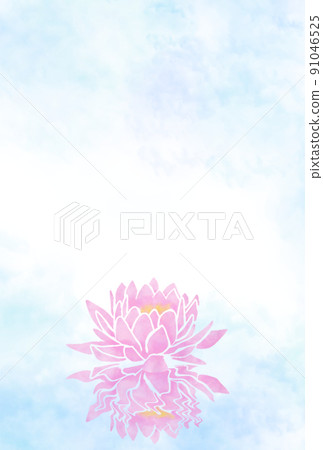 佛事哈斯花明信片 91046525