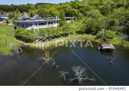 Aerial view of Toya Nishiyama foot crater (Nishiyama swamp) 91048462