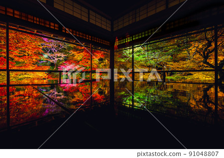 京都Rurikoin夜秋葉-京都的紅葉- 91048807