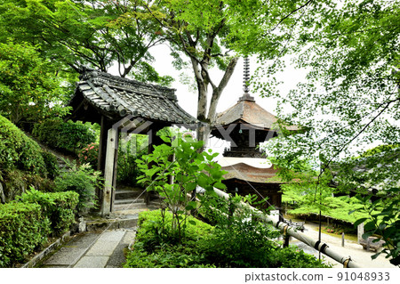 Yoshimine-dera (Tahoto) [Oharano, Nishikyo-ku, Kyoto City, Kyoto Prefecture] 91048933