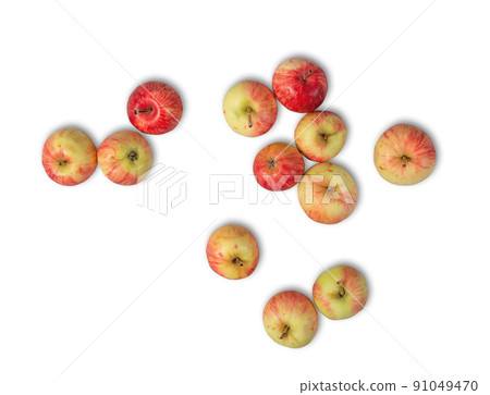 Pile of Organic Apples Fruits Template for Collage. Top View Photo. File with Clipping Path. 91049470