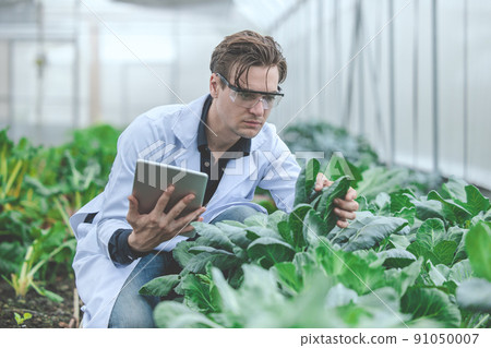 Agriculture plant science technology research and development concept. 91050007