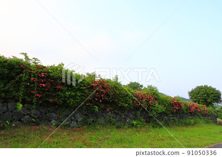 Jungmun Saekdal海灘,海岸,海灘,大海,長廊,公園, Jungmun Saekdal海灘,海岸,海灘,大海,長廊,公園, 91050336
