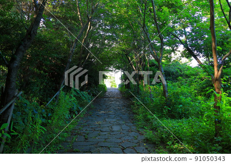 Jungmun Saekdal Beach, coast, beach, sea, promenade, park, Jungmun Saekdal Beach, coast, beach, sea, promenade, park, 91050343