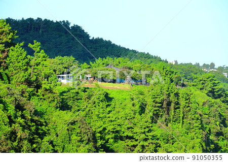 Jungmun Saekdal海灘,海岸,海灘,大海,長廊,公園, Jungmun Saekdal海灘,海岸,海灘,大海,長廊,公園, 91050355