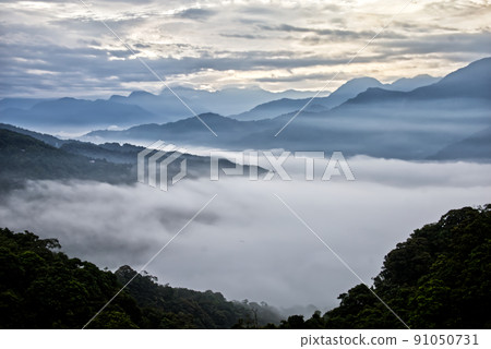 台灣南投海雲 91050731