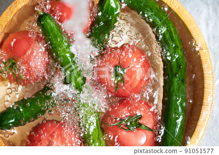 Wash the cucumbers and tomatoes in a tub Wash the cucumbers and tomatoes in a tub 91051577