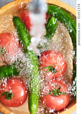 Wash the cucumbers and tomatoes in a tub Wash the cucumbers and tomatoes in a tub 91051578