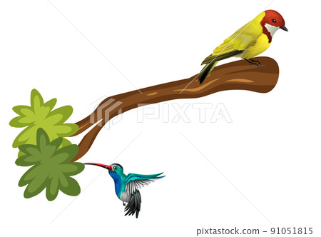 A bird standing on branch in cartoon style A bird standing on branch in cartoon style 91051815