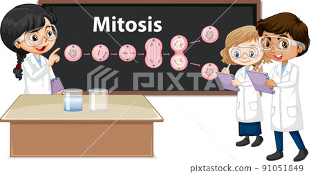 Scientist kids learning mitosis science 91051849