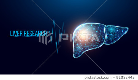 Human liver research. Wireframe low poly style. 91052442