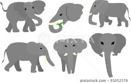 大像大象的插圖 91052576