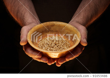 Close up of male hands holding small amount of wheat seeds. Lack of food and hunger concept Close up of male hands holding small amount of wheat seeds. Lack of food and hunger concept 91053486