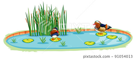 Ducks in a pond in cartoon style 91054013