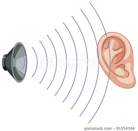 Speaker icon and ear on white background Speaker icon and ear on white background 91054384