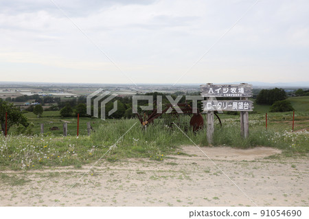 Heidi ranch, ranch, hill, tourist spot, Hokkaido, grassland, landscape, nature, sightseeing, outdoor, observatory, signboard 91054690