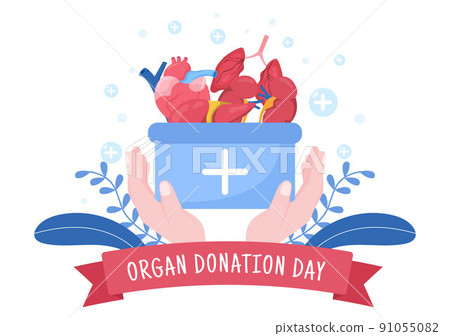 World Organ Donation Day with Kidneys, Heart, Lungs, Eyes or Liver for Transplantation, Saving Lives and Health Care in Flat Cartoon Illustration World Organ Donation Day with Kidneys, Heart, Lungs, Eyes or Liver for Transplantation, Saving Lives and Health Care in Flat Cartoon Illustration 91055082