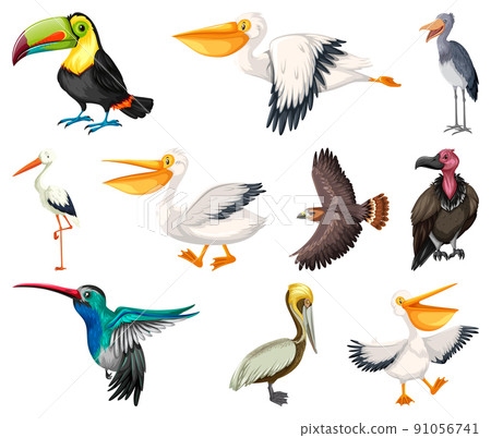 Different kinds of birds collection 91056741