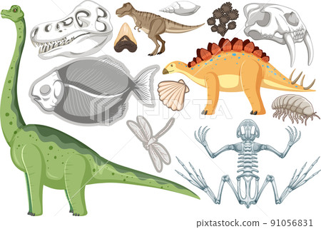 A set of dinosaur and fossil 91056831