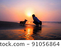 Corgi taking a walk along the shores of the sunrise 91056864