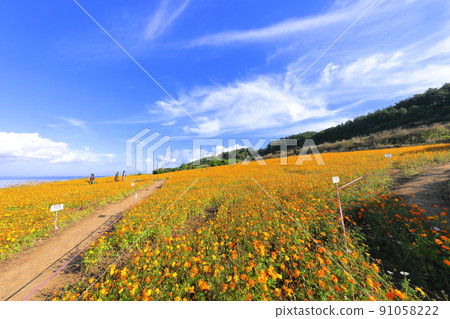 Hamdeok Seoubong Beach, Seoubong, Hamdeok Beach, Promenade, Swimming, White Sand Beach, 91058222