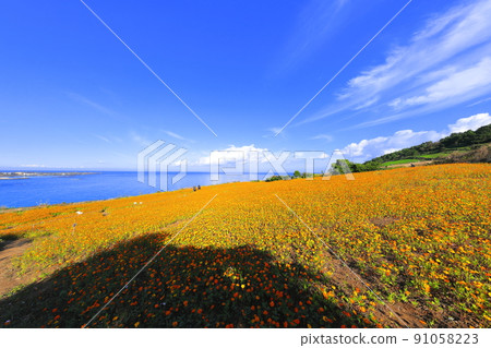 Hamdeok Seoubong海灘,Seoubong,Hamdeok海灘,長廊,游泳,白沙灘, Hamdeok Seoubong海灘,Seoubong,Hamdeok海灘,長廊,游泳,白沙灘, 91058223