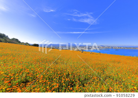 Hamdeok Seoubong Beach, Seoubong, Hamdeok Beach, Promenade, Swimming, White Sand Beach, 91058229