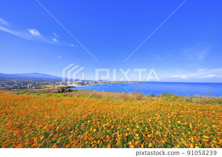 Hamdeok Seoubong Beach, Seoubong, Hamdeok Beach, Promenade, Swimming, White Sand Beach, Hamdeok Seoubong Beach, Seoubong, Hamdeok Beach, Promenade, Swimming, White Sand Beach, 91058239