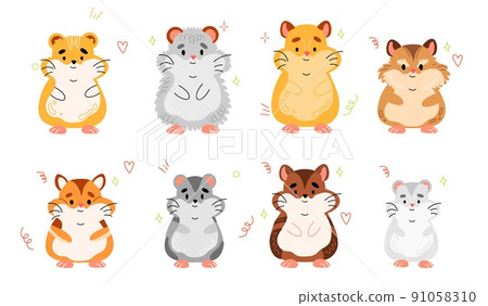 Hamster breeds. Cute little pets, different types, home rodents, funny fluffy animals various sizes and colors, cartoon flat style comic characters, swanky pet vector isolated mascot set Hamster breeds. Cute little pets, different types, home rodents, funny fluffy animals various sizes and colors, cartoon flat style comic characters, swanky pet vector isolated mascot set 91058310