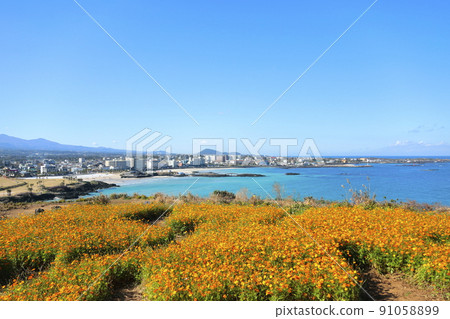 Hamdeok Seoubong Beach, Hamdeok Beach, Seoubong Peak, Promenade, Climbing, Swimming, White Sand Beach, Flowers, 91058899