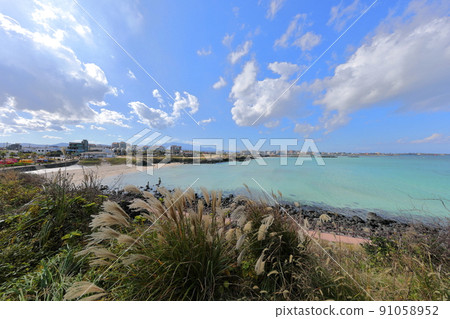 Hamdeok Seoubong Beach, Hamdeok Beach, Seoubong Peak, Promenade, Climbing, Swimming, White Sand Beach, Flowers, 91058952