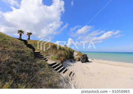 Hamdeok Seoubong Beach, Hamdeok Beach, Seoubong Peak, Promenade, Climbing, Swimming, White Sand Beach, Flowers, Hamdeok Seoubong Beach, Hamdeok Beach, Seoubong Peak, Promenade, Climbing, Swimming, White Sand Beach, Flowers, 91058965
