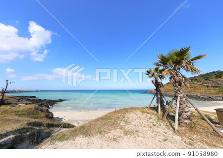 Hamdeok Seoubong Beach, Hamdeok Beach, Seoubong Peak, Promenade, Climbing, Swimming, White Sand Beach, Flowers, Hamdeok Seoubong Beach, Hamdeok Beach, Seoubong Peak, Promenade, Climbing, Swimming, White Sand Beach, Flowers, 91058980