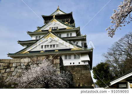 Osaka Castle with spring cherry blossoms 91059093