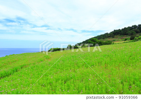 Hamdeok Seoubong海灘,Seoubong,Hamdeok海灘,游泳,攀登,露營,白色沙灘,避暑勝地, Hamdeok Seoubong海灘,Seoubong,Hamdeok海灘,游泳,攀登,露營,白色沙灘,避暑勝地, 91059366