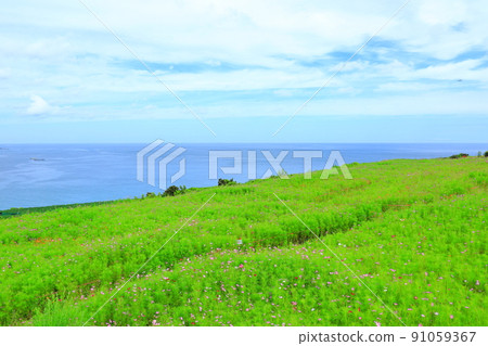 Hamdeok Seoubong海灘,Seoubong,Hamdeok海灘,游泳,攀登,露營,白色沙灘,避暑勝地, Hamdeok Seoubong海灘,Seoubong,Hamdeok海灘,游泳,攀登,露營,白色沙灘,避暑勝地, 91059367