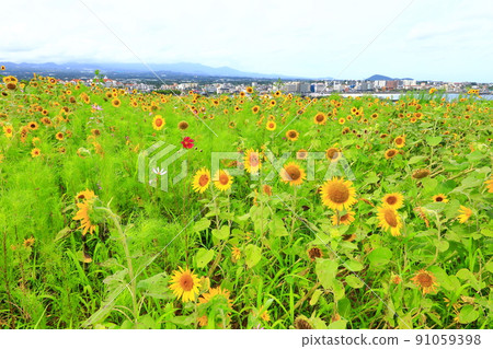 Hamdeok Seoubong海灘，Seoubong，Hamdeok海灘，游泳，攀登，露營，白色沙灘，避暑勝地， 91059398