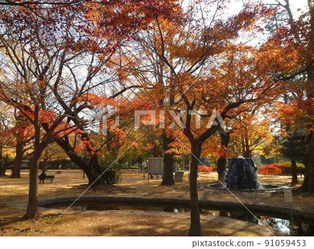 Itabashi Heiwa Park (Itabashi-ku, Tokyo) Itabashi Heiwa Park (Itabashi-ku, Tokyo) 91059453