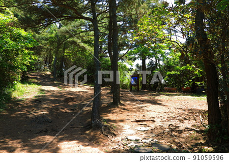 Hamdeok Seoubong Beach, Hamdeok Beach, Seoubong Peak, swimming, walking, climbing, horse, Jeju horse, white sand beach, summer resort, Hamdeok Seoubong Beach, Hamdeok Beach, Seoubong Peak, swimming, walking, climbing, horse, Jeju horse, white sand beach, summer resort, 91059596