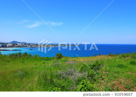 咸德瑞峰海水浴場、咸德海水浴場、瑞峰山頂、游泳、散步、登山、騎馬、濟州馬、白沙灘、避暑勝地、 91059607