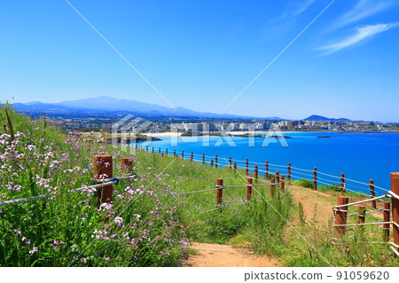 咸德瑞峰海水浴場、咸德海水浴場、瑞峰山頂、游泳、散步、登山、騎馬、濟州馬、白沙灘、避暑勝地、 91059620