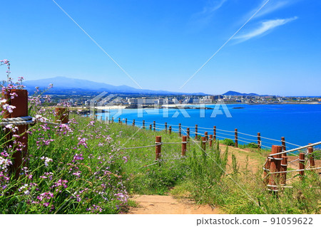 Hamdeok Seoubong Beach, Hamdeok Beach, Seoubong Peak, swimming, walking, climbing, horse, Jeju horse, white sand beach, summer resort, 91059622