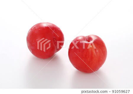 Plum plum Plum plum 91059627