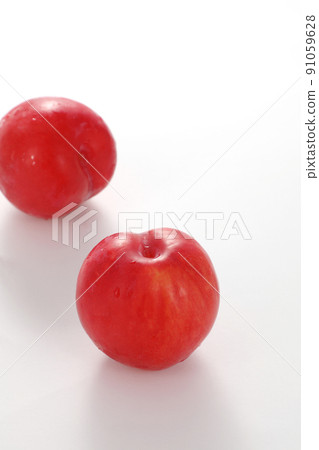 Plum plum Plum plum 91059628